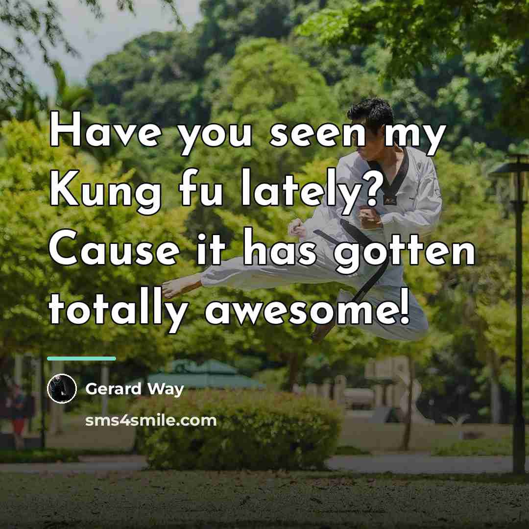 “Have you seen my Kung fu lately? Cause it has…” quote by Gerard Way