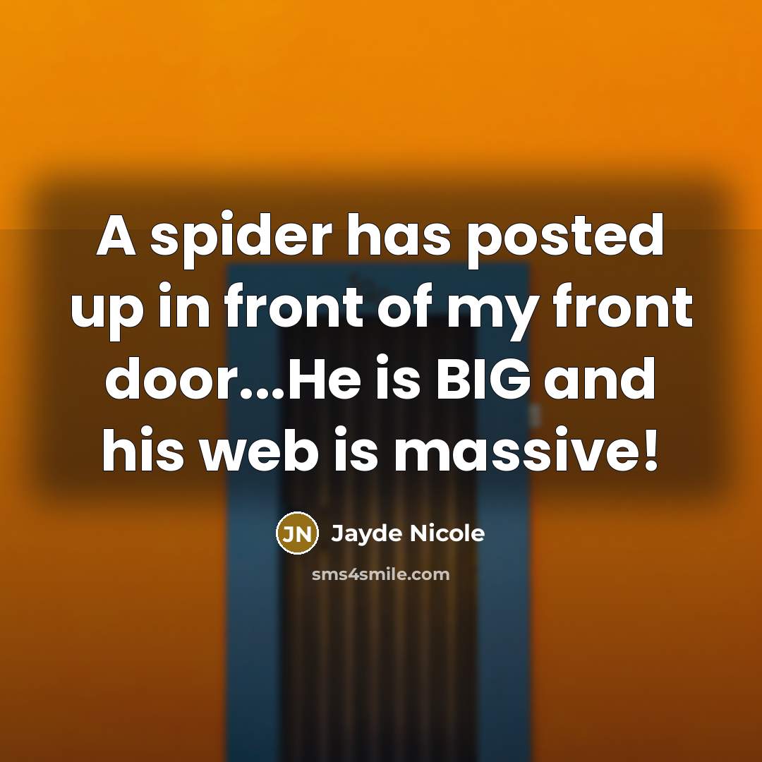 “A spider has posted up in front of my front…” quote by Jayde Nicole