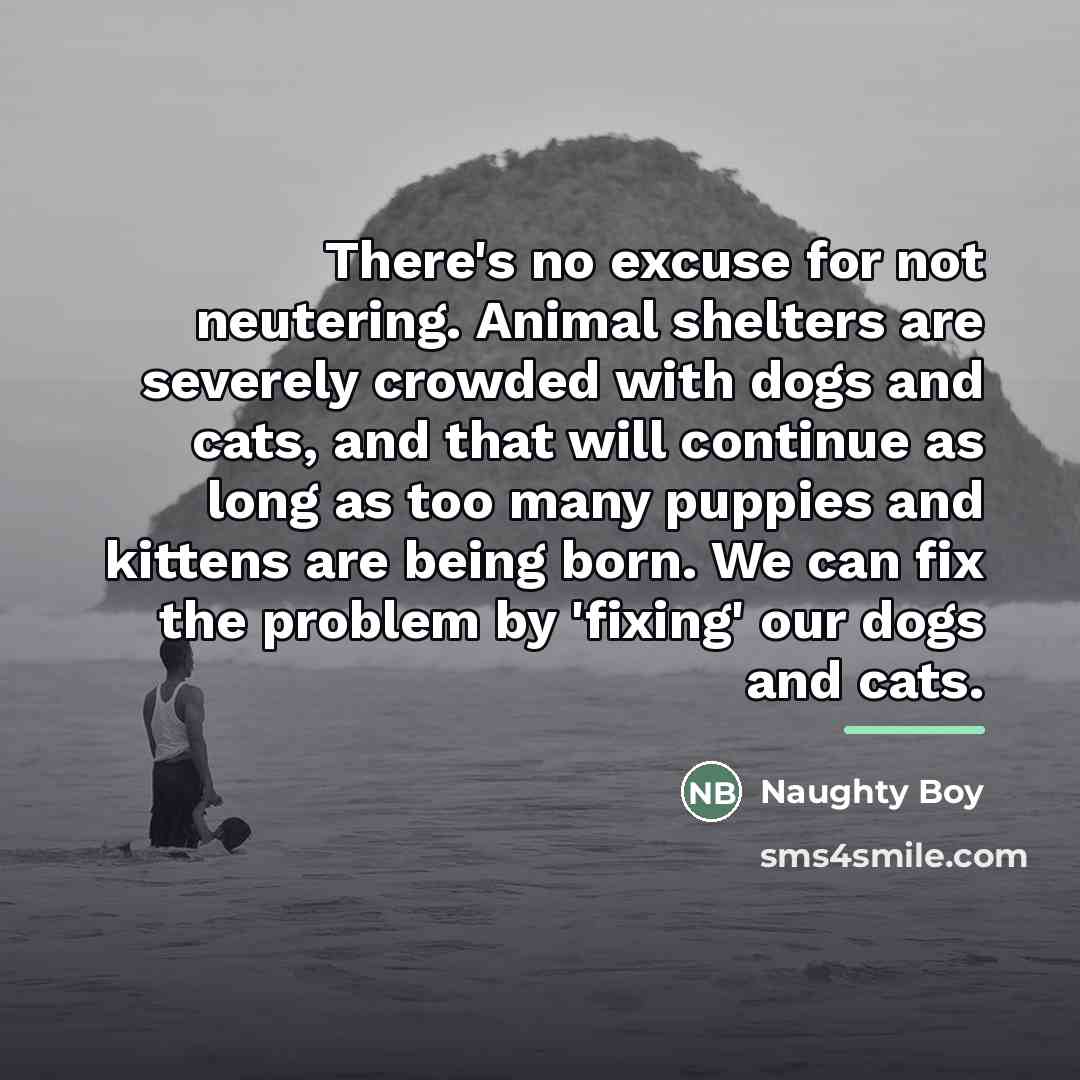 “There's no excuse for not neutering. Animal shelters are severely…” quote by Naughty Boy