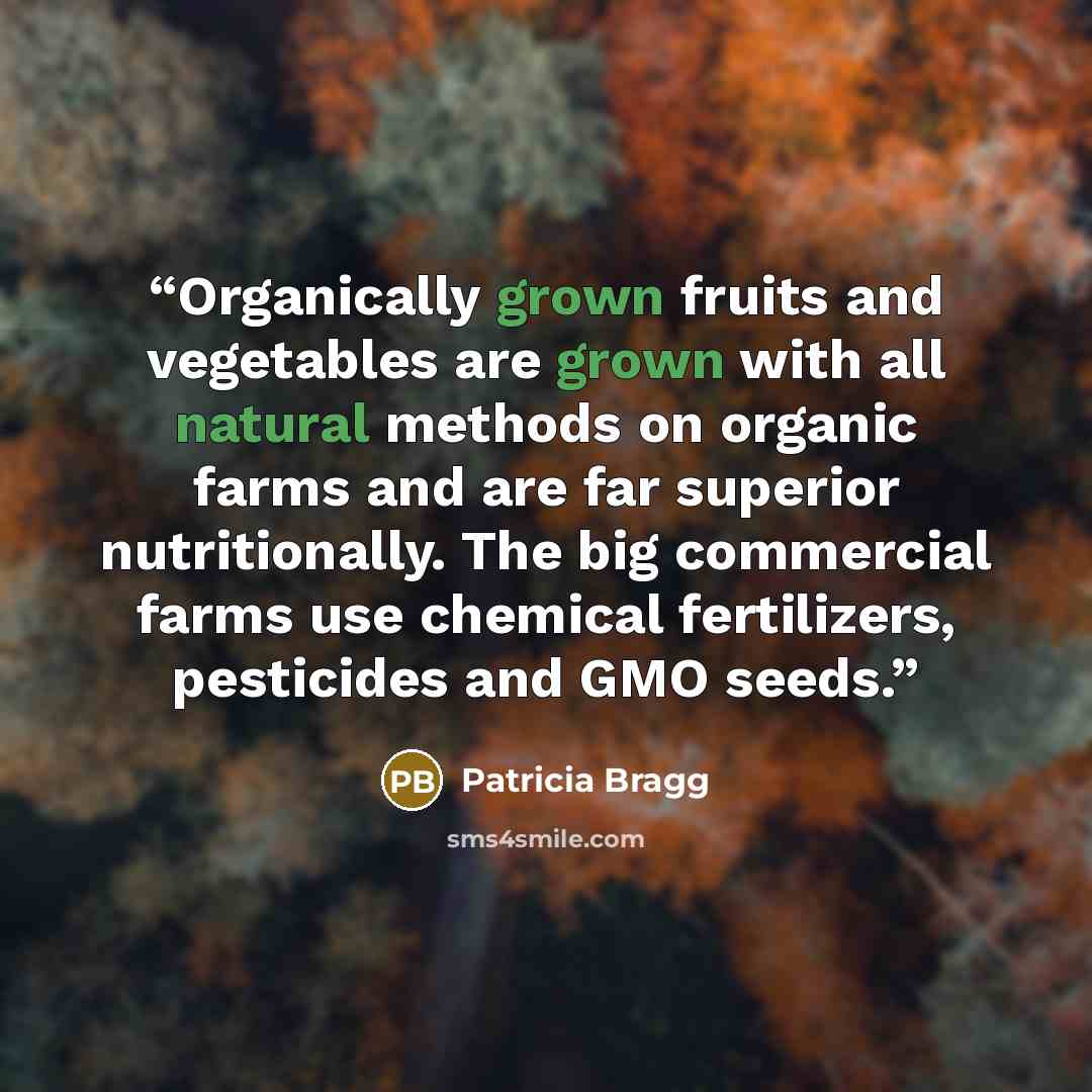 “Organically grown fruits and vegetables are grown with all natural methods on organic farms and are far superior nutritionally. The big commercial farms use chemical fertilizers, pesticides and GMO seeds.” quote by Patricia Bragg