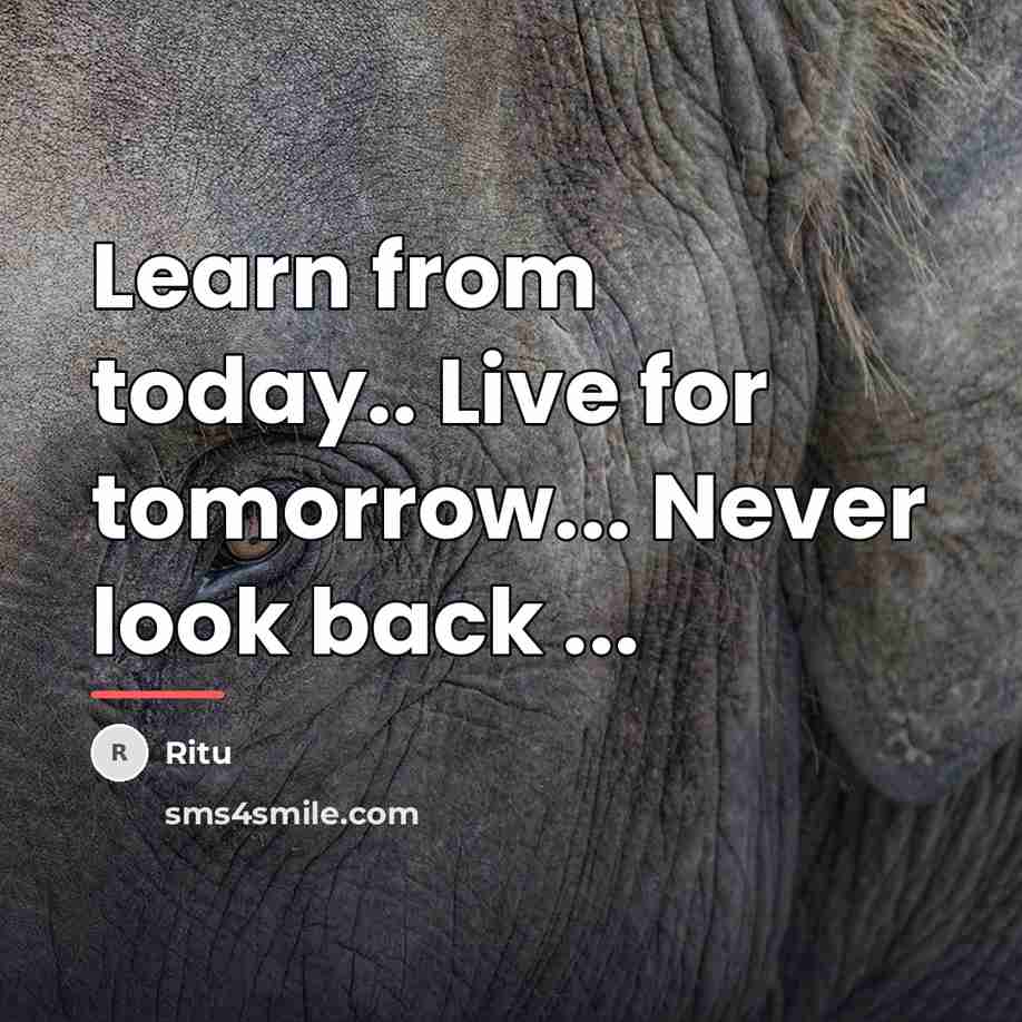 “Learn from today.. Live for tomorrow... Never look back ...…” quote by Ritu