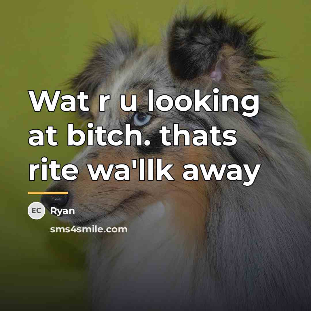 “Wat r u looking at bitch. thats rite wa'llk away…” quote by Ryan