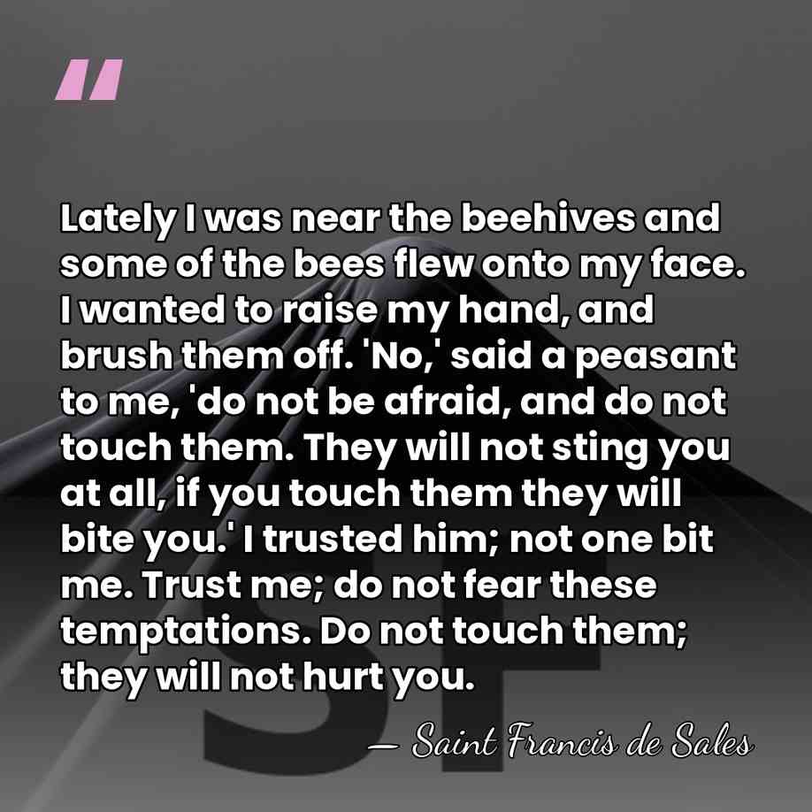 Lately I was near the beehives and some of the bees flew&hellip; - Saint Francis de Sales