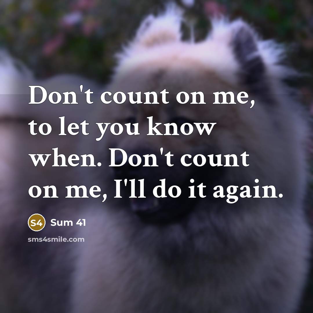 “Don't count on me, to let you know when. Don't…” quote by Sum 41