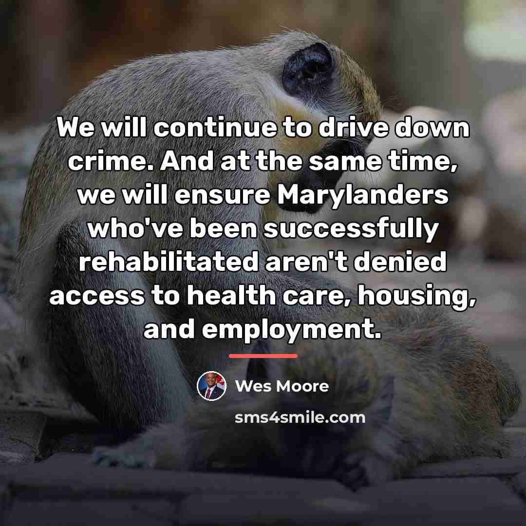 “We will continue to drive down crime. And at the…” quote by Wes Moore
