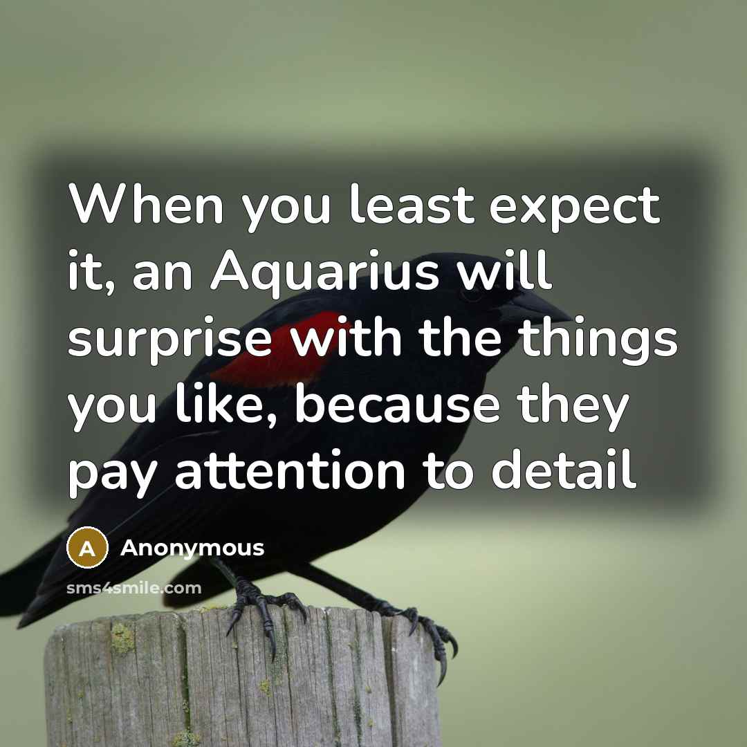 “When you least expect it, an Aquarius will surprise with…” quote by Anonymous