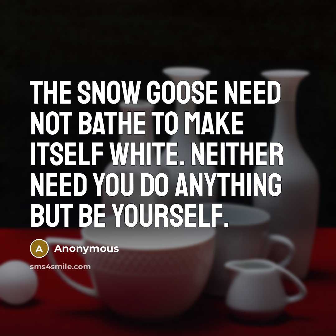 “The snow goose need not bathe to make itself white.…” quote by Anonymous