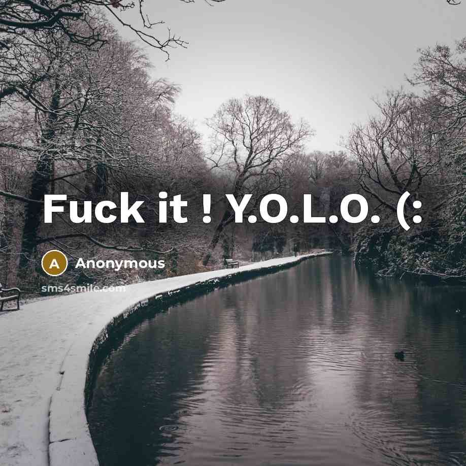 “Fuck it ! Y.O.L.O. (:” quote by Anonymous