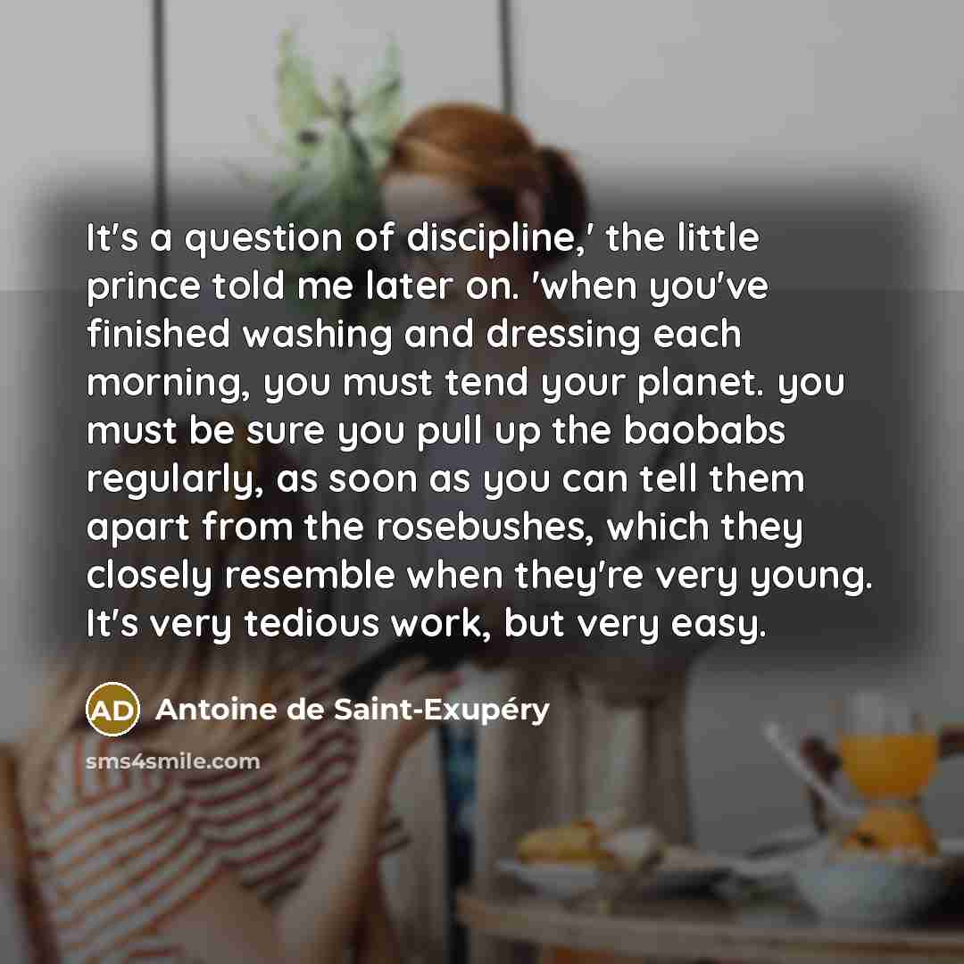 “It's a question of discipline,' the little prince told me…” quote by Antoine de Saint-Exupery