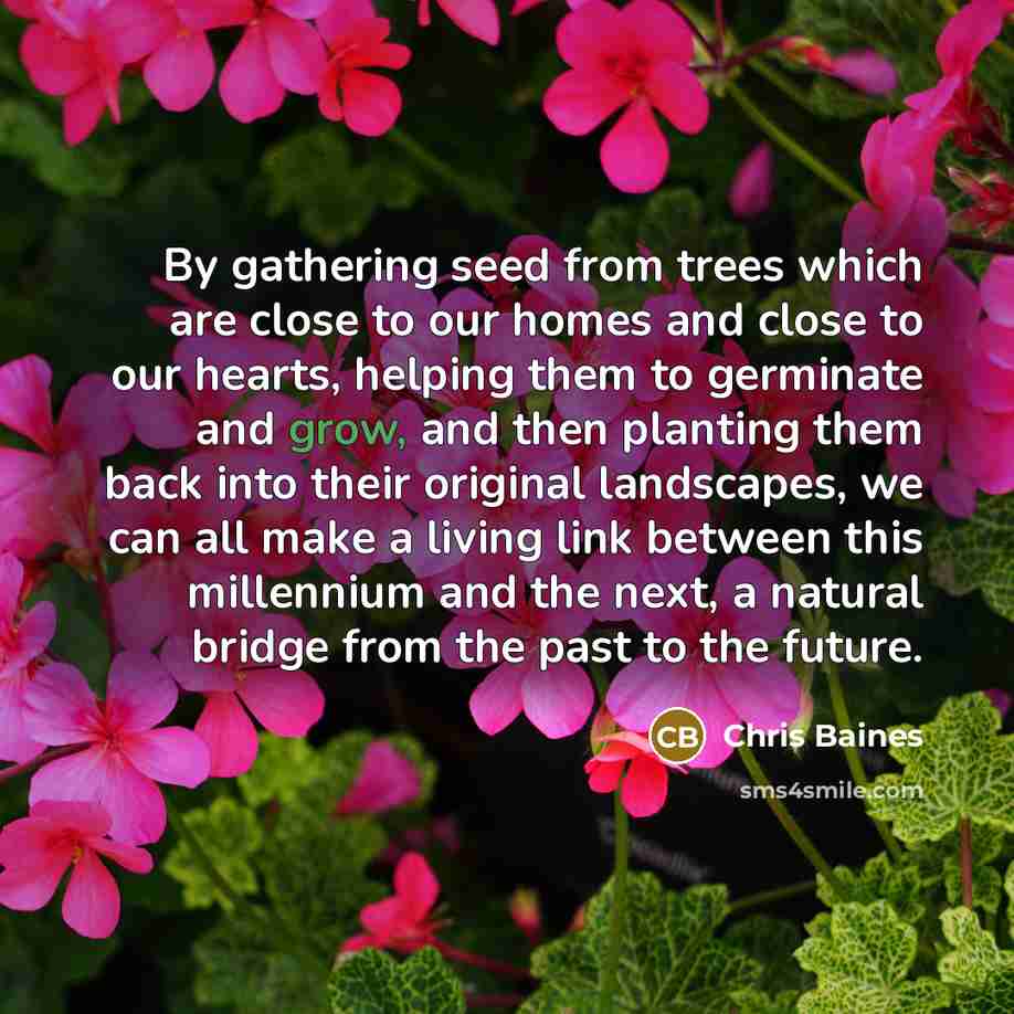 “By gathering seed from trees which are close to our homes and close to our hearts, helping them to germinate and grow, and then planting them back into their original landscapes, we can all make a living link between this millennium and the next, a natural bridge from the past to the future.” quote by Chris Baines