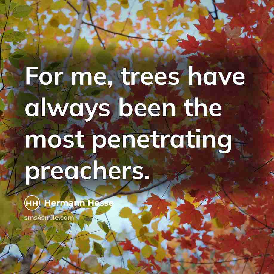 “For me, trees have always been the most penetrating preachers.…” quote by Hermann Hesse