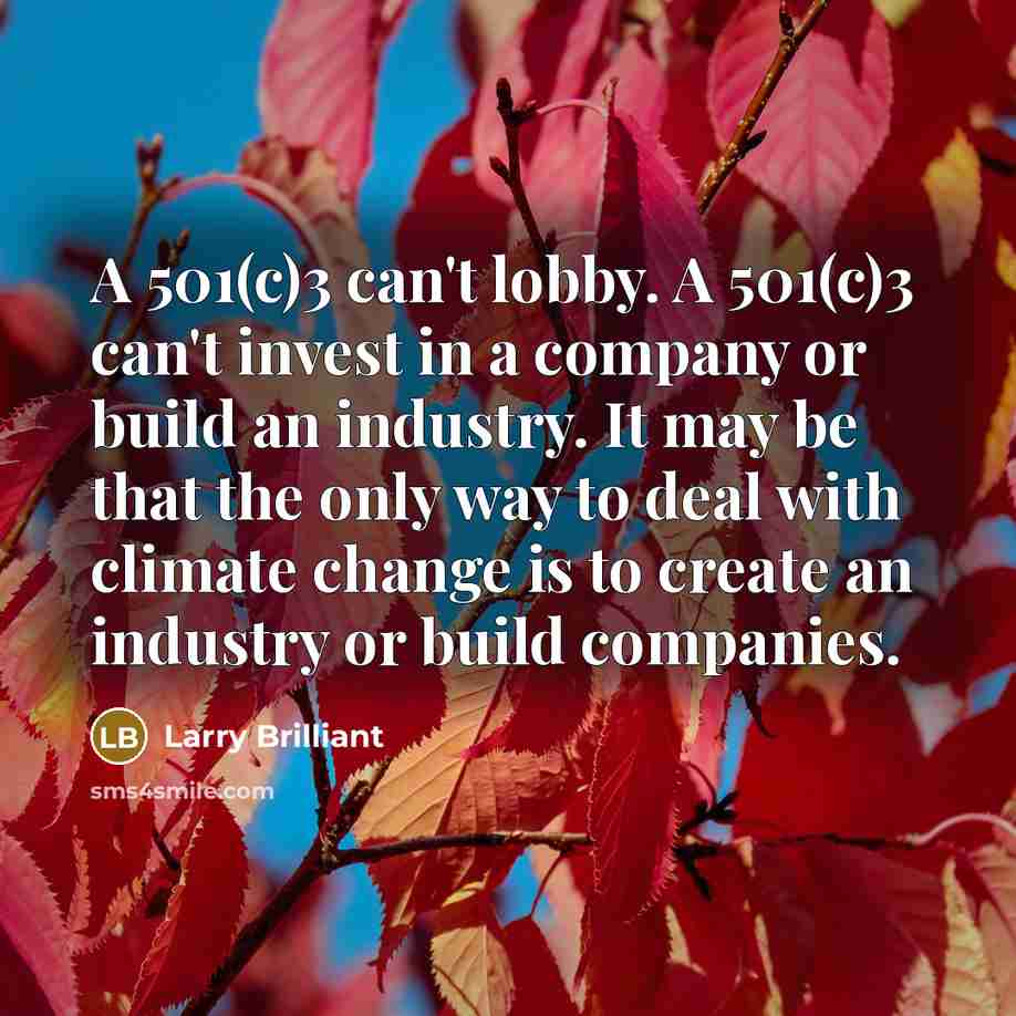 “A 501(c)3 can't lobby. A 501(c)3 can't invest in a…” quote by Larry Brilliant