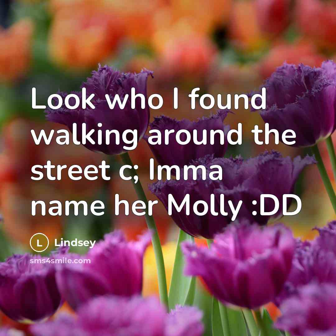 “Look who I found walking around the street c; Imma…” quote by Lindsey