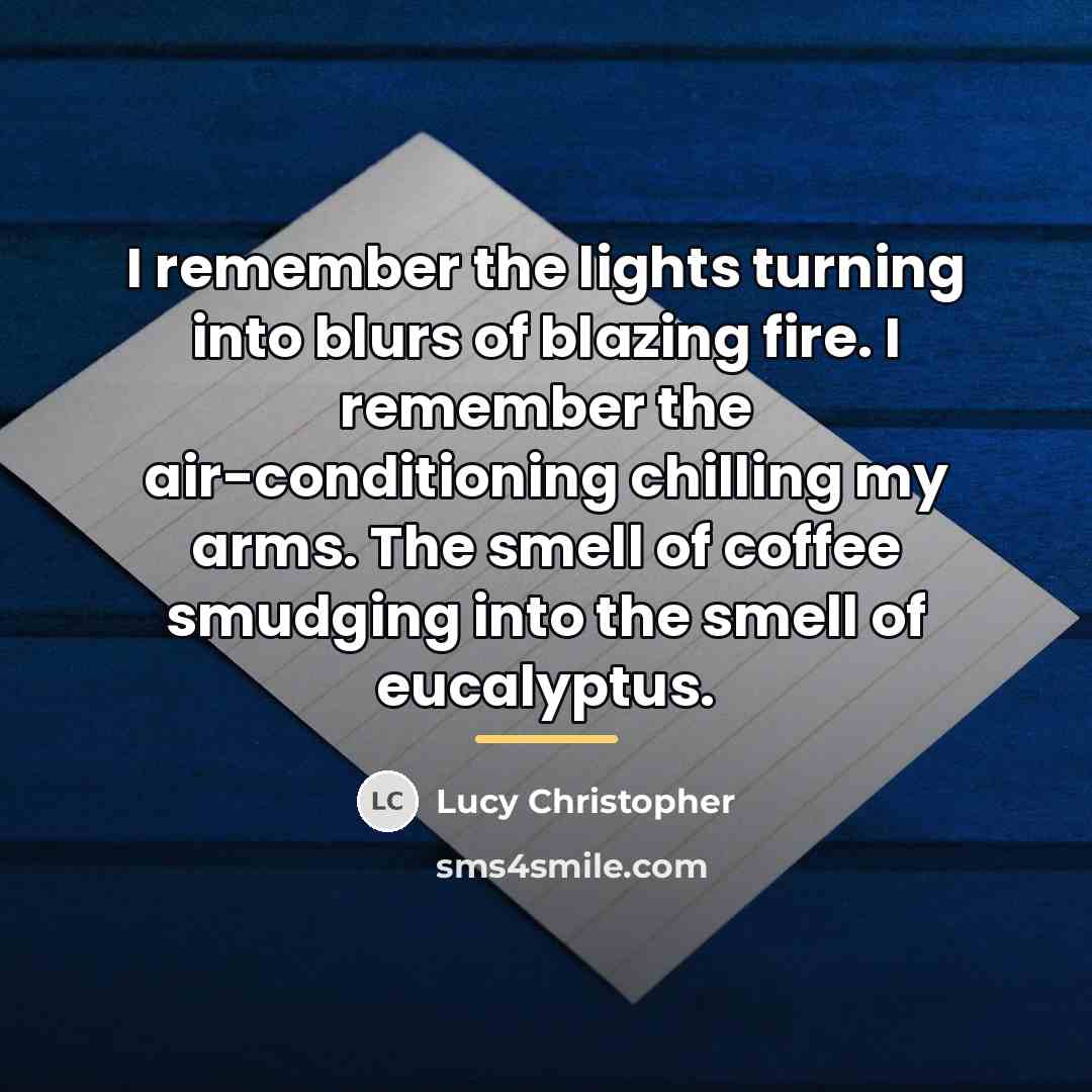 “I remember the lights turning into blurs of blazing fire.…” quote by Lucy Christopher