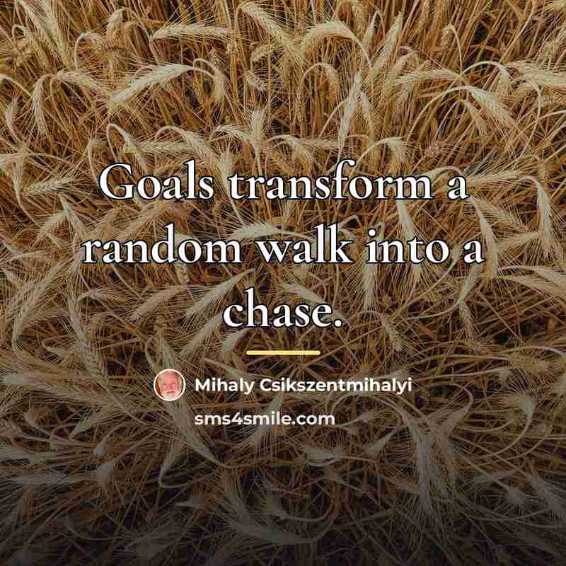 “Goals transform a random walk into a chase.…” quote by Mihaly Csikszentmihalyi