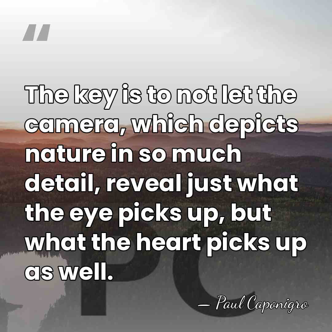 The key is to not let the camera, which depicts nature in&hellip; - Paul Caponigro