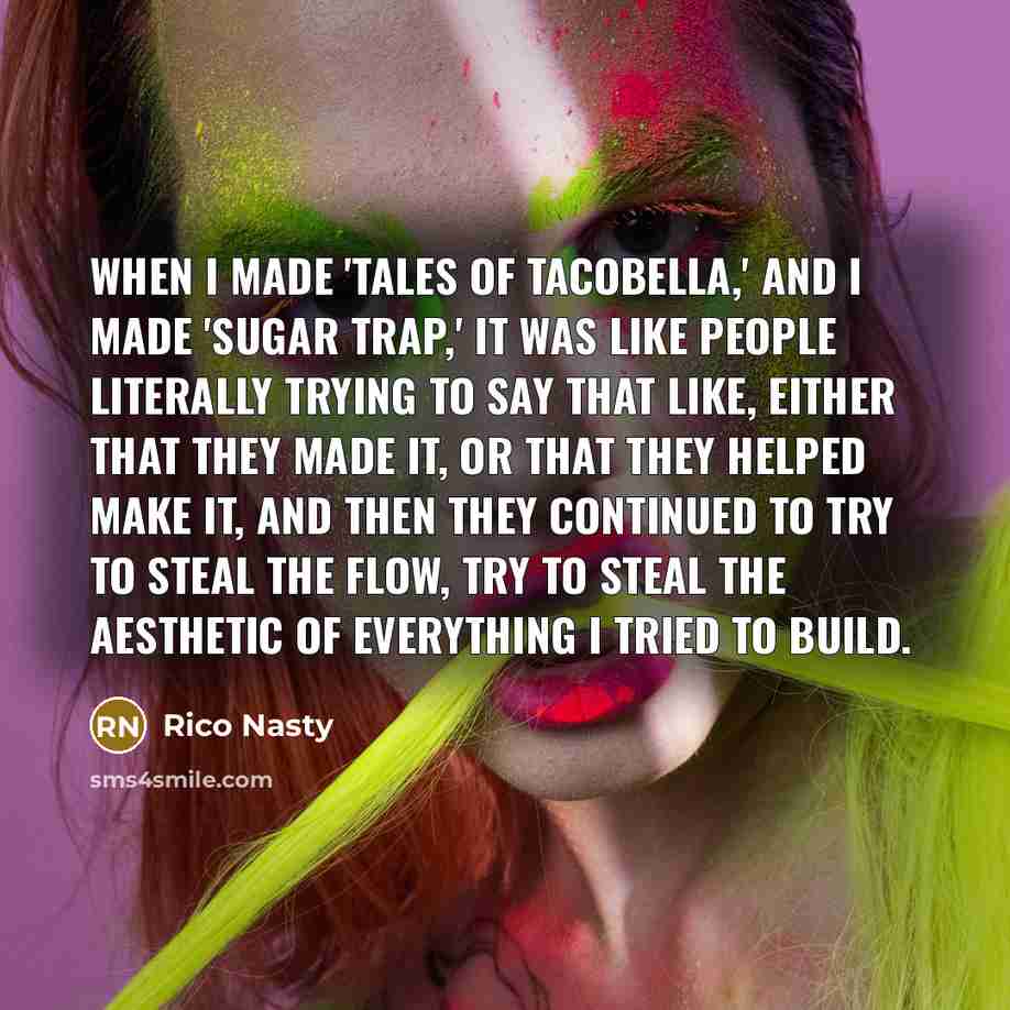 “When I made 'Tales of Tacobella,' and I made 'Sugar…” quote by Rico Nasty