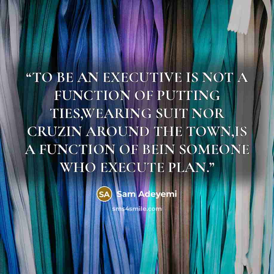 “TO BE AN EXECUTIVE IS NOT A FUNCTION OF PUTTING TIES,WEARING SUIT NOR CRUZIN AROUND THE TOWN,IS A FUNCTION OF BEIN SOMEONE WHO EXECUTE PLAN.” quote by Sam Adeyemi