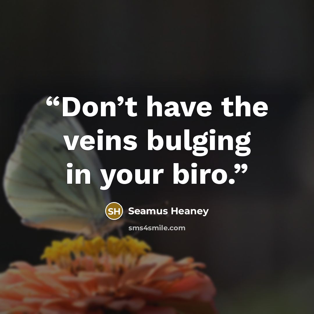 “Don’t have the veins bulging in your biro.” quote by Seamus Heaney