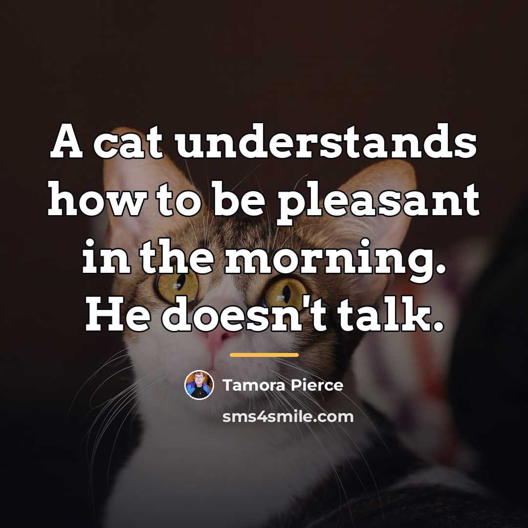 “A cat understands how to be pleasant in the morning.…” quote by Tamora Pierce