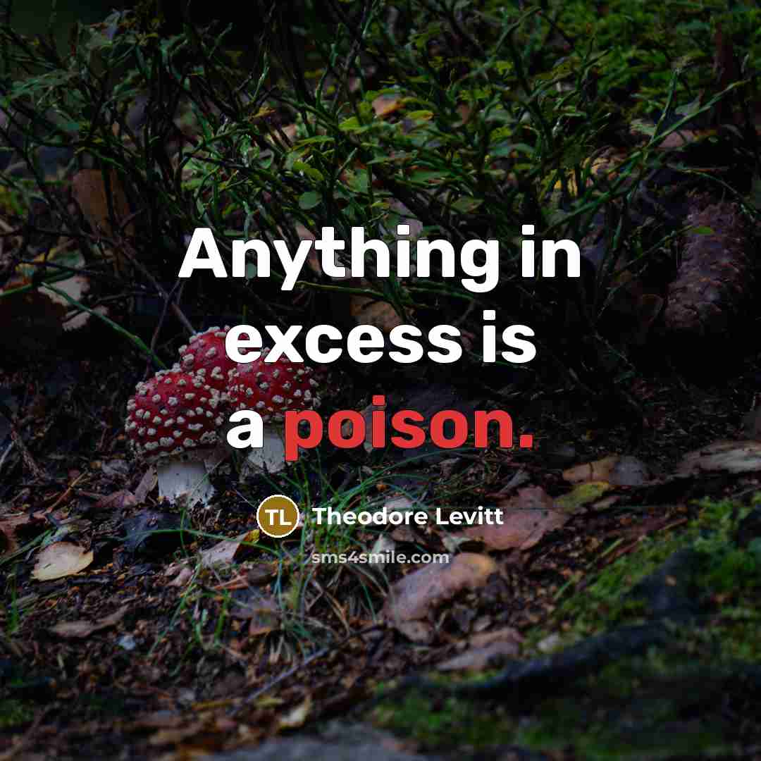“Anything in excess is a poison.…” quote by Theodore Levitt
