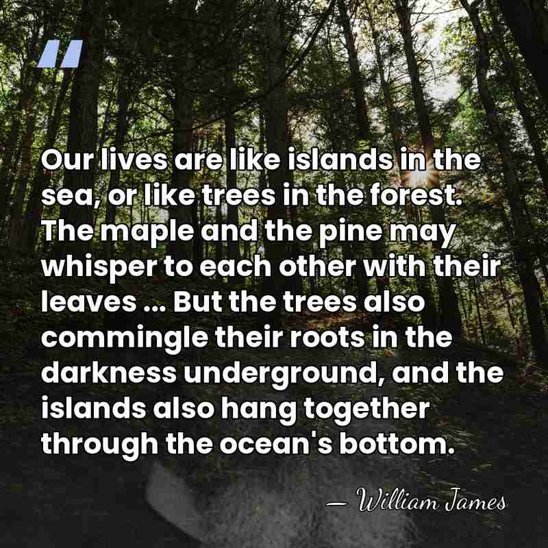 Our lives are like islands in the sea, or like trees in&hellip; - William James