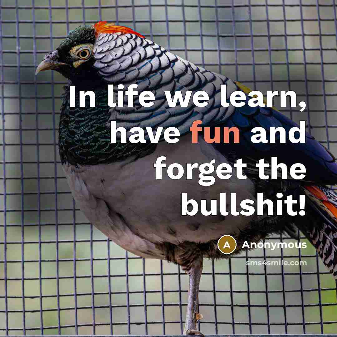 “In life we learn, have fun and forget the bullshit!…” quote by Anonymous