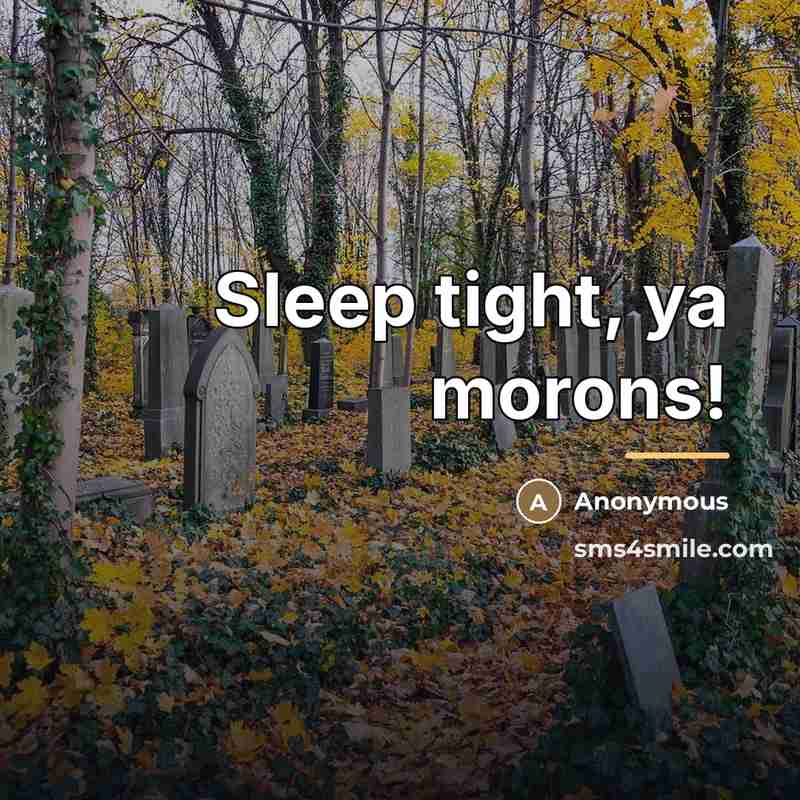 “Sleep tight, ya morons!…” quote by Anonymous
