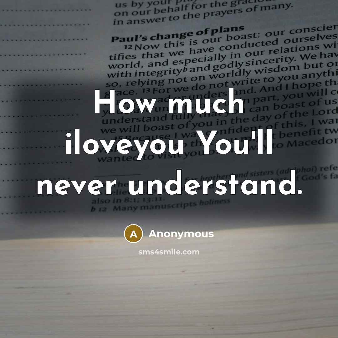 “How much iloveyou You'll never understand.…” quote by Anonymous