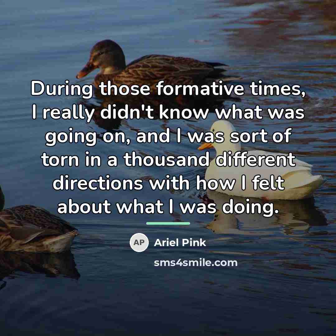 “During those formative times, I really didn't know what was…” quote by Ariel Pink