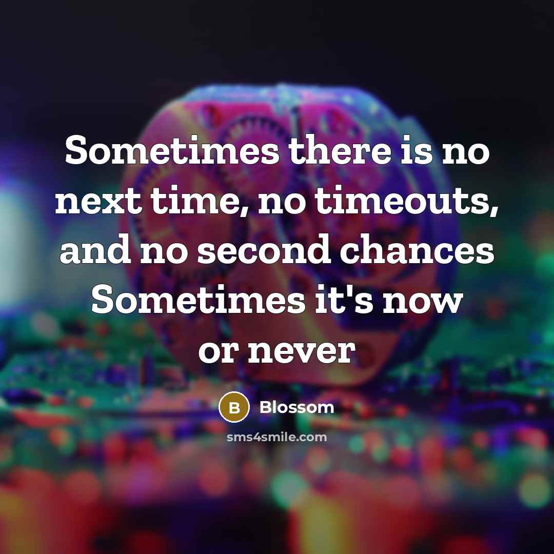 “Sometimes there is no next time, no timeouts, and no second chances Sometimes it's now or never” quote by Blossom