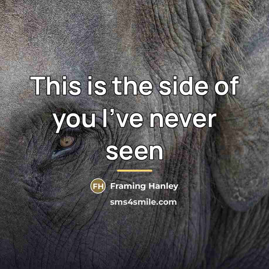 “This is the side of you I've never seen…” quote by Framing Hanley