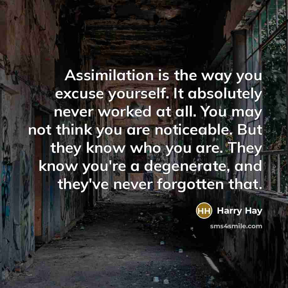 “Assimilation is the way you excuse yourself. It absolutely never…” quote by Harry Hay