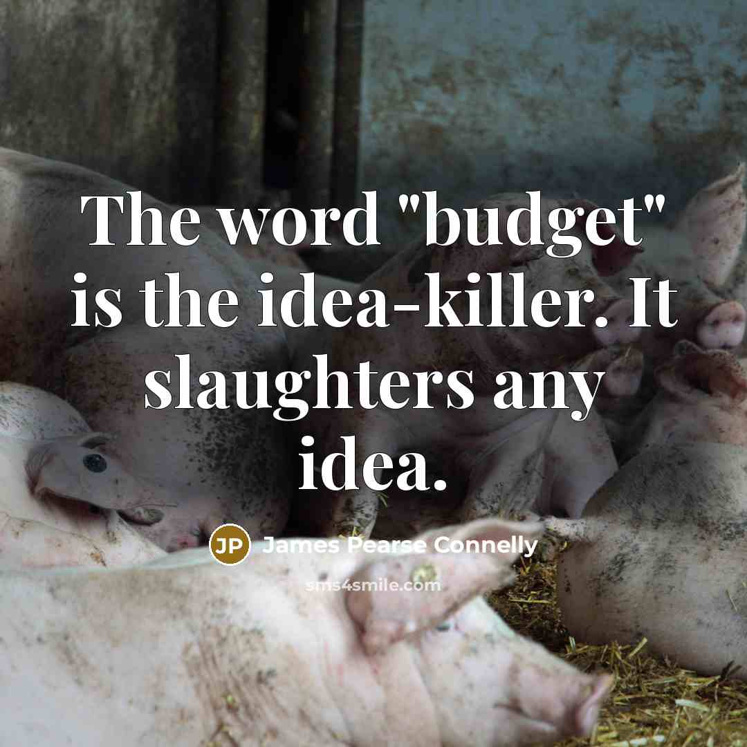 “The word "budget" is the idea-killer. It slaughters any idea.…” quote by James Pearse Connelly