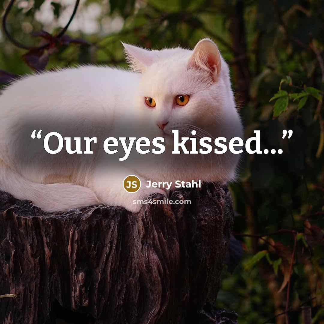 “Our eyes kissed...” quote by Jerry Stahl