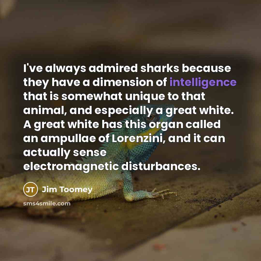 “I've always admired sharks because they have a dimension of…” quote by Jim Toomey