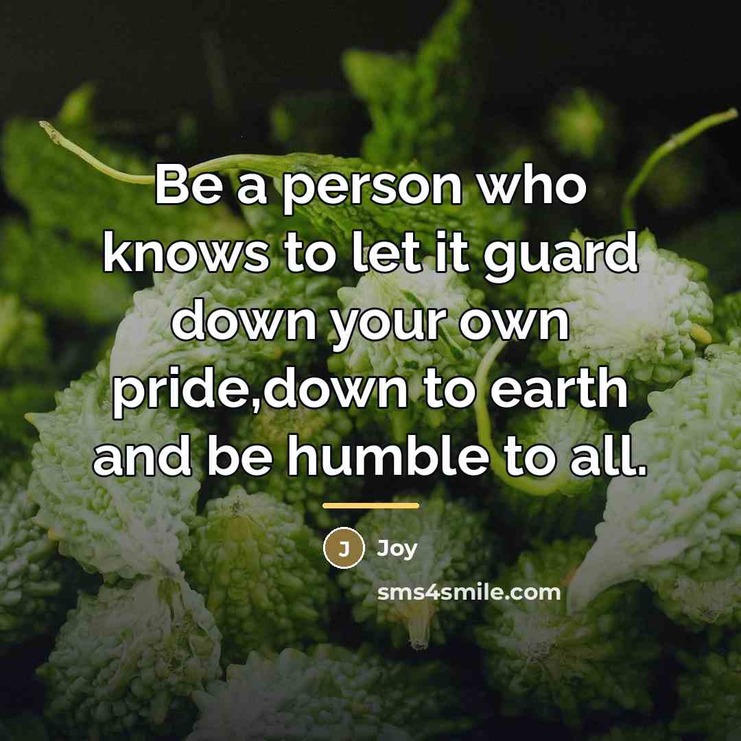 “Be a person who knows to let it guard down…” quote by Joy