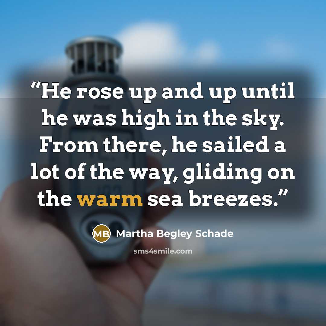“He rose up and up until he was high in the sky. From there, he sailed a lot of the way, gliding on the warm sea breezes.” quote by Martha Begley Schade