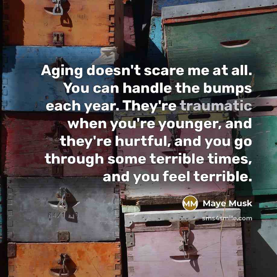 “Aging doesn't scare me at all. You can handle the…” quote by Maye Musk