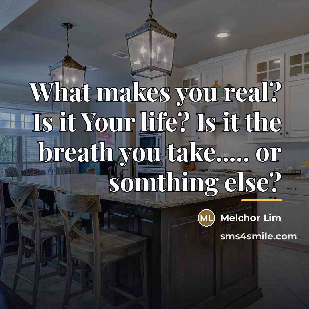 “What makes you real? Is it Your life? Is it…” quote by Melchor Lim
