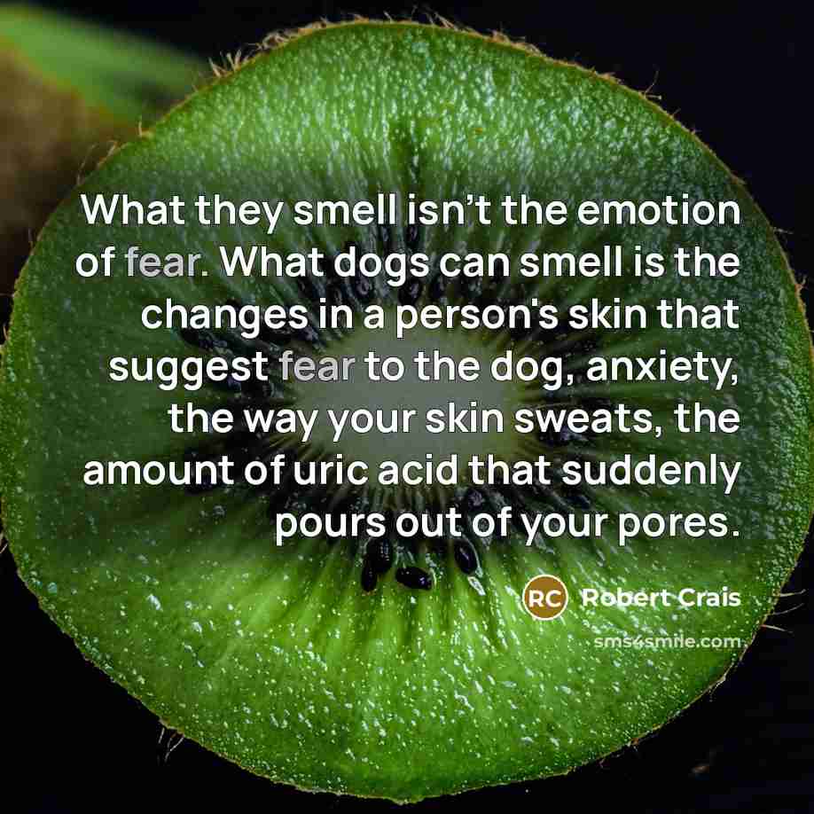 “What they smell isn't the emotion of fear. What dogs…” quote by Robert Crais