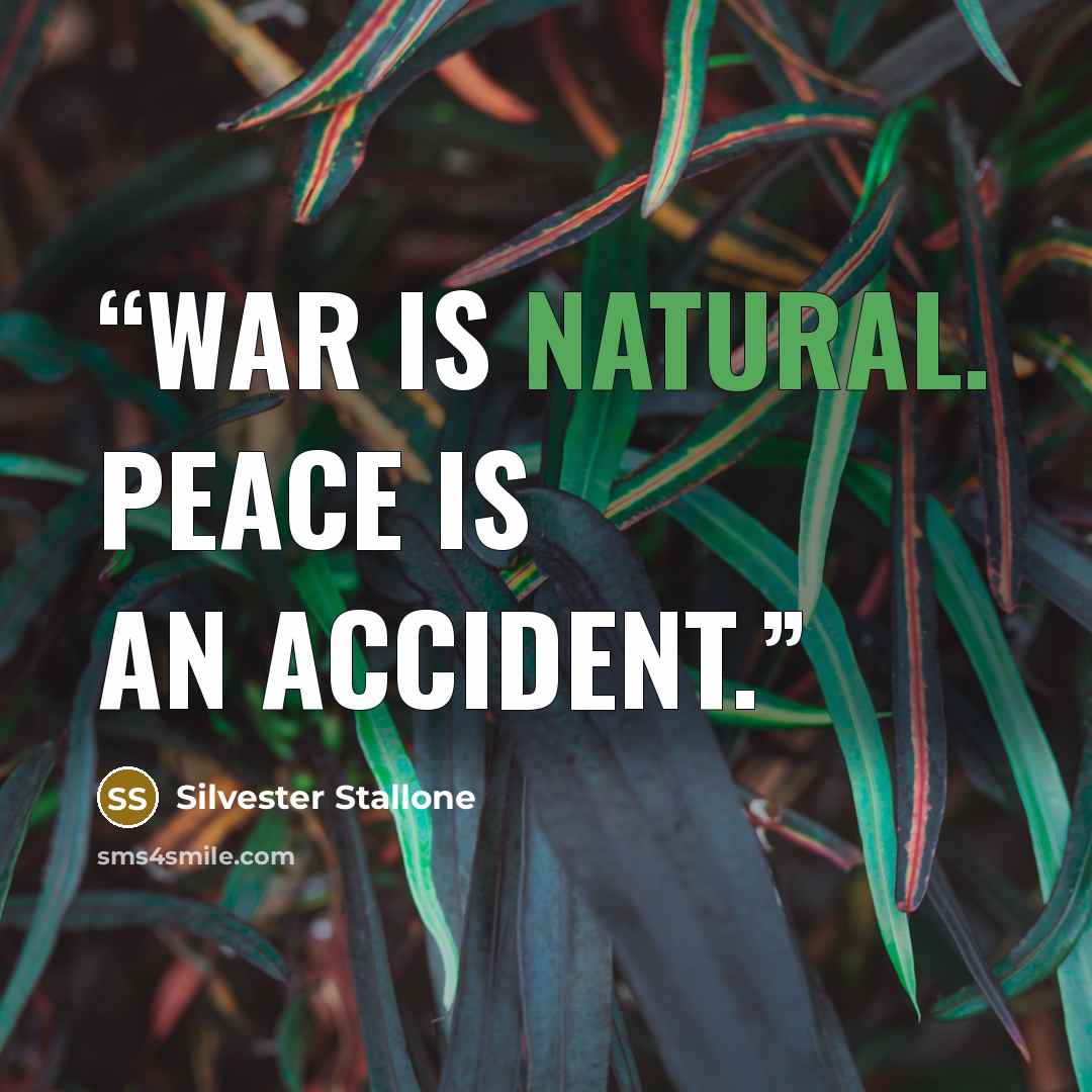 “War is natural. Peace is an accident.” quote by Silvester Stallone