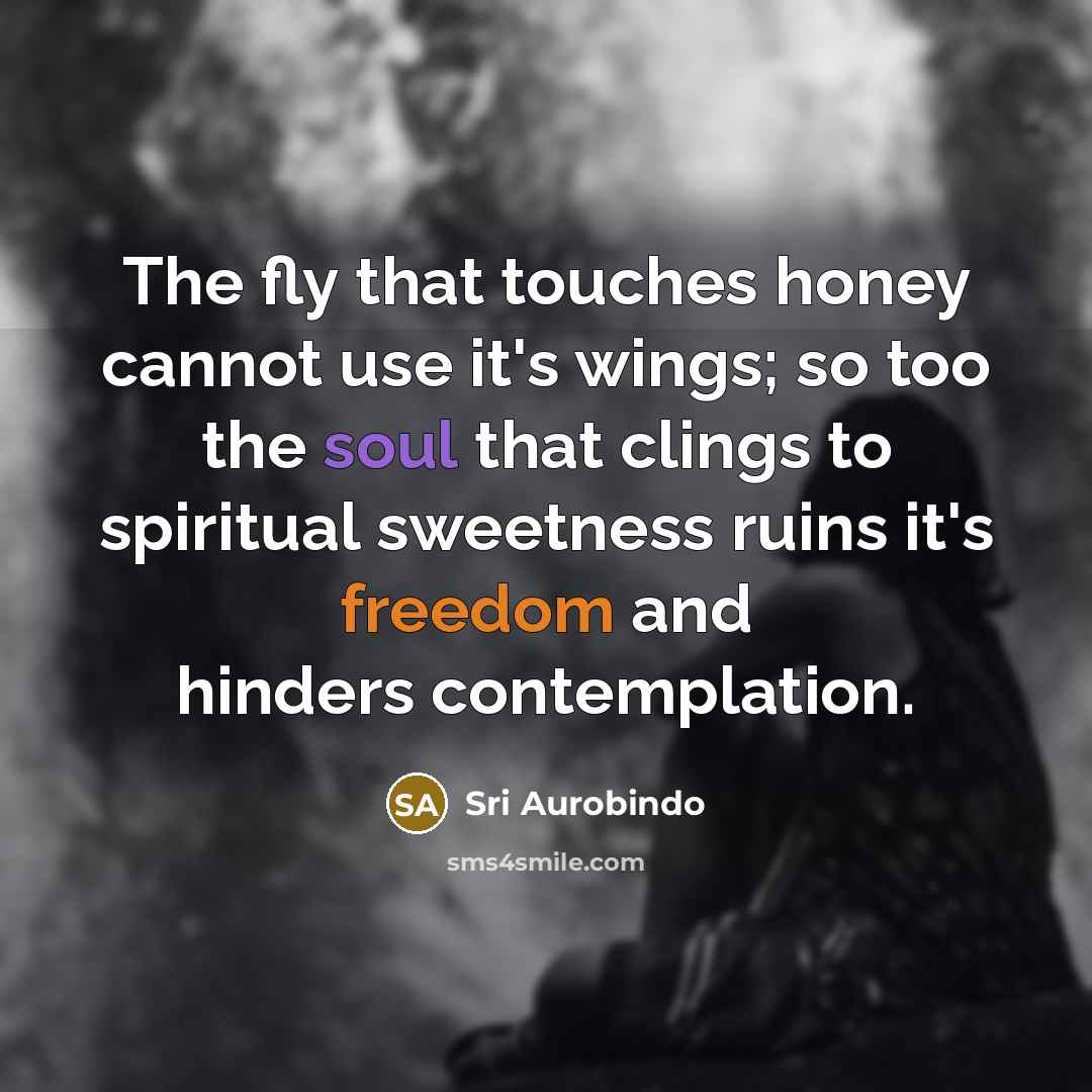 “The fly that touches honey cannot use it's wings; so…” quote by Sri Aurobindo