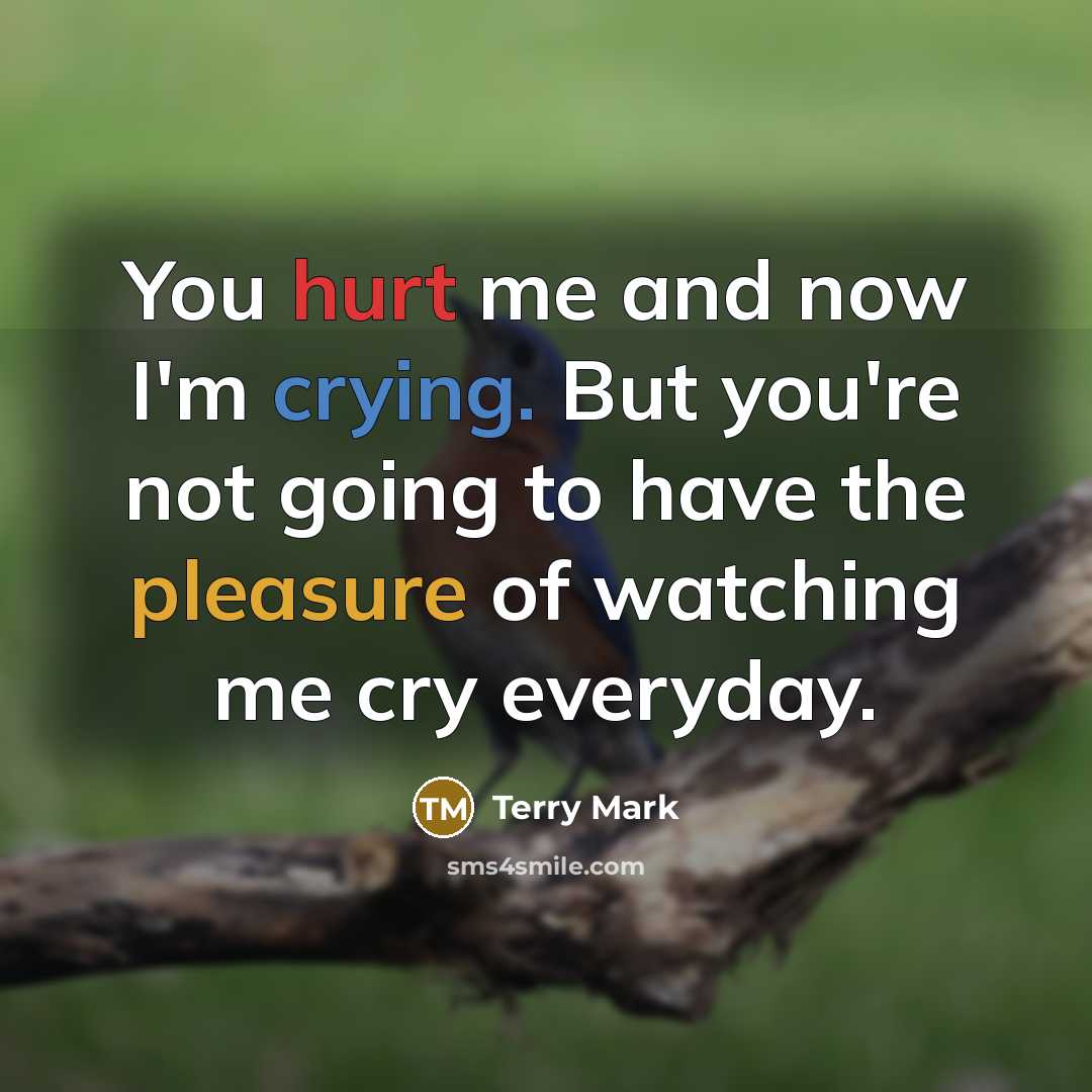 “You hurt me and now I'm crying. But you're not going to have the pleasure of watching me cry everyday.” quote by Terry Mark
