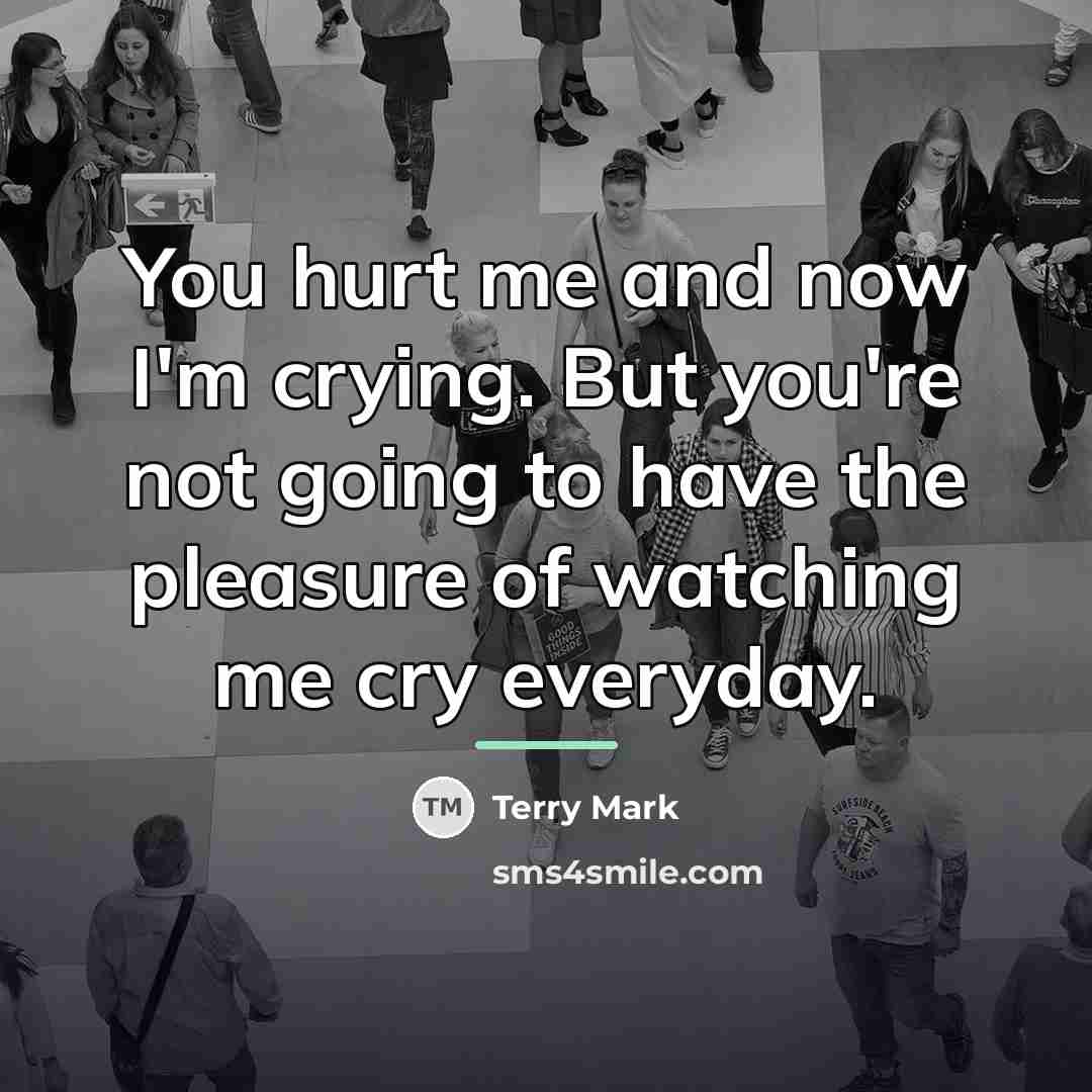 “You hurt me and now I'm crying. But you're not…” quote by Terry Mark