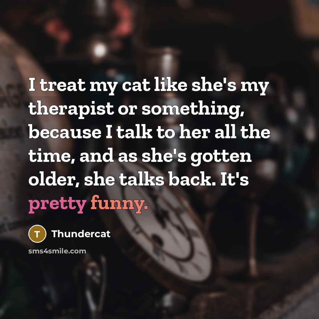 “I treat my cat like she's my therapist or something, because I talk to her all the time, and as she's gotten older, she talks back. It's pretty funny.” quote by Thundercat