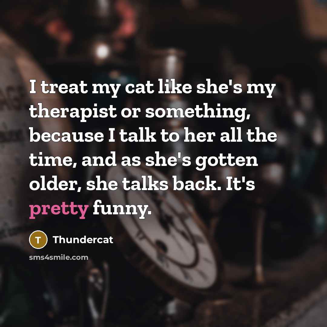 “I treat my cat like she's my therapist or something,…” quote by Thundercat