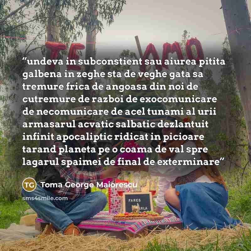 “undeva in subconstient sau aiurea pitita galbena in zeghe sta de veghe gata sa tremure frica de angoasa din noi de cutremure de razboi de exocomunicare de necomunicare de acel tunami al urii armasarul acvatic salbatic dezlantuit infinit apocaliptic ridicat in picioare tarand planeta pe o coama de…” quote by Toma George Maiorescu