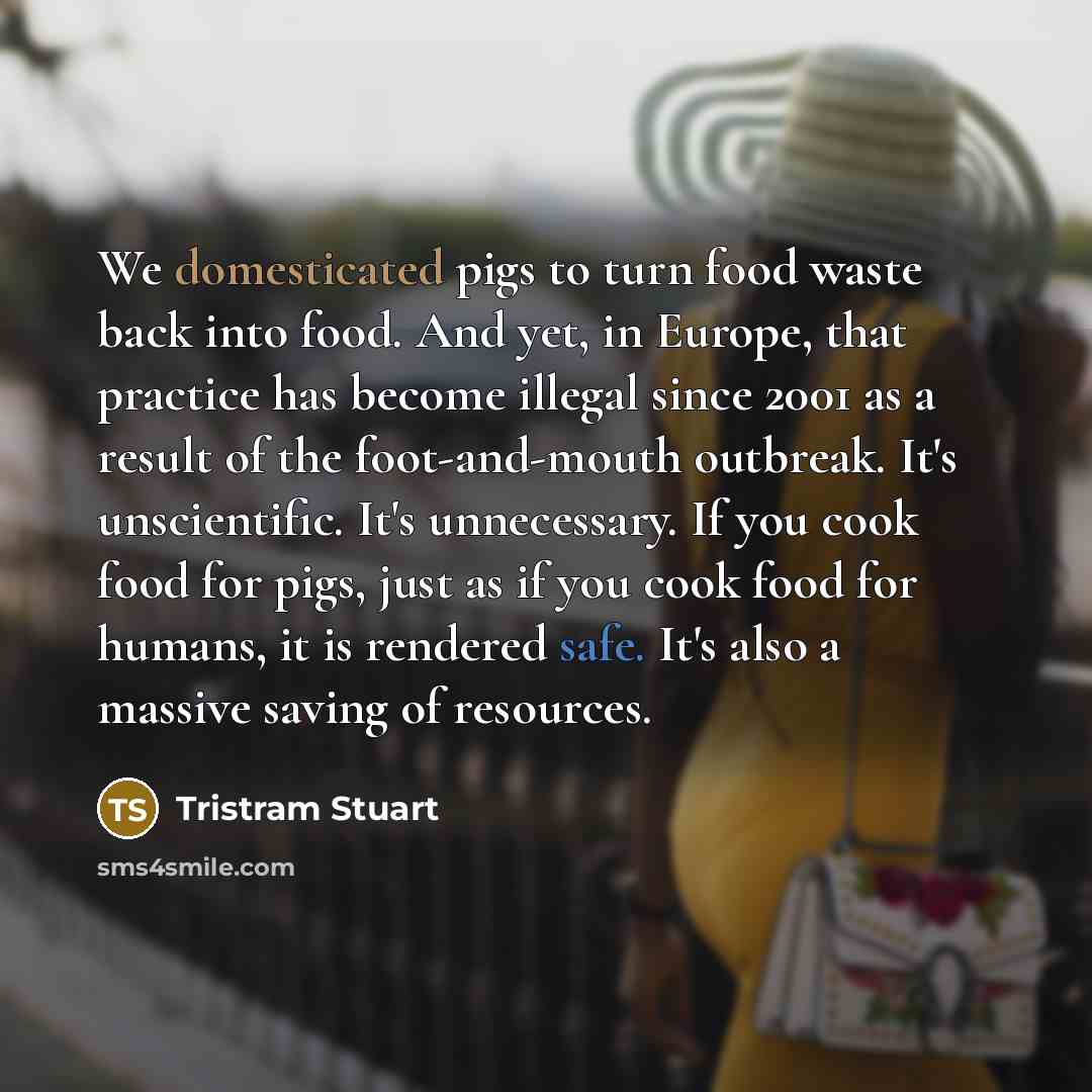 “We domesticated pigs to turn food waste back into food.…” quote by Tristram Stuart