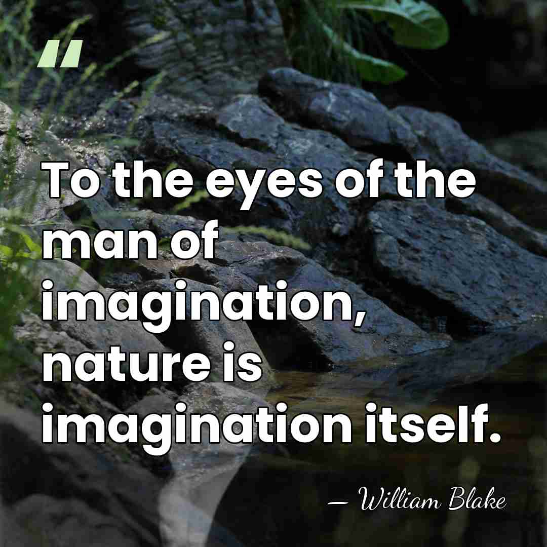 To the eyes of the man of imagination, nature is imagination itself. - William Blake